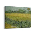 Cuadro "Campo con flores cerca de Arlés" de Vincent van Gogh