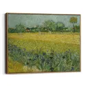 Cuadro "Campo con flores cerca de Arlés" de Vincent van Gogh