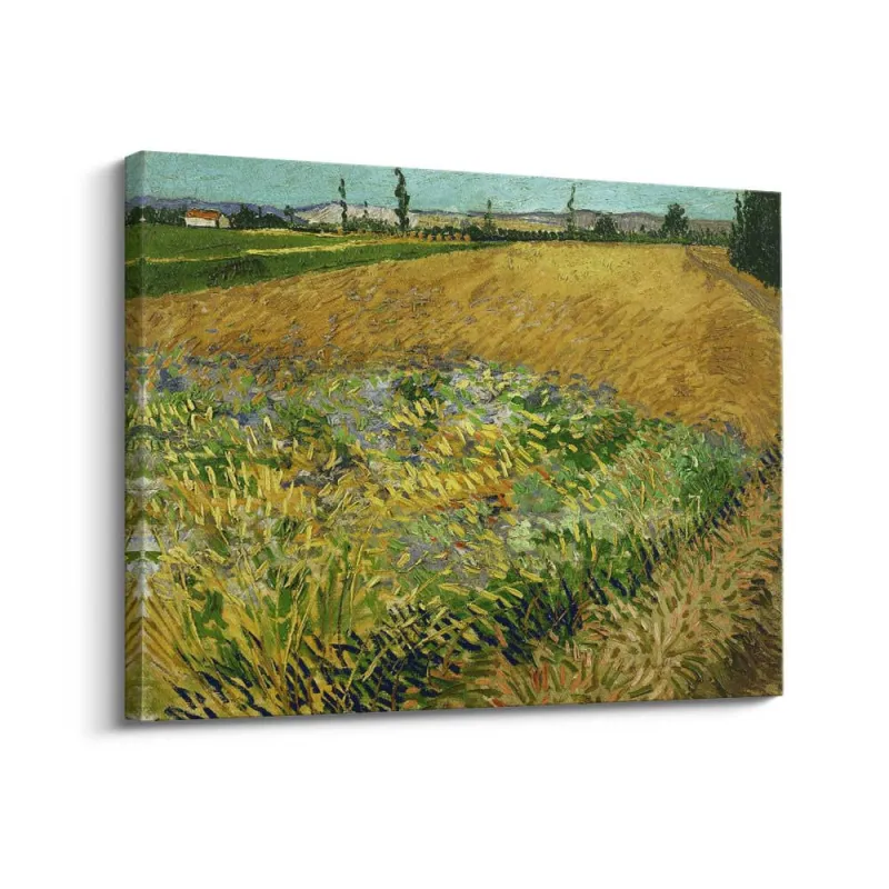 Cuadro "Campo de Trigo" de Vincent van Gogh