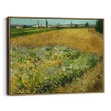 Cuadro "Campo de Trigo" de Vincent van Gogh
