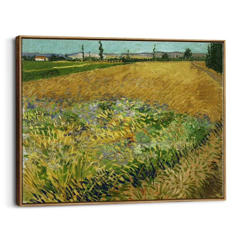Cuadro "Campo de Trigo" de Vincent van Gogh