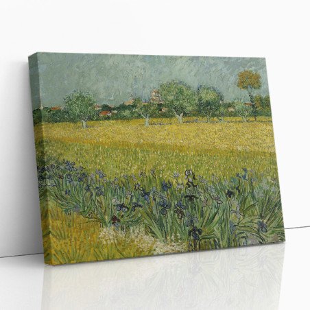 Cuadro "Margaritas en Arlés" de Vincent van Gogh