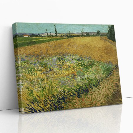 Cuadro "Campo de Trigo" de Vincent van Gogh
