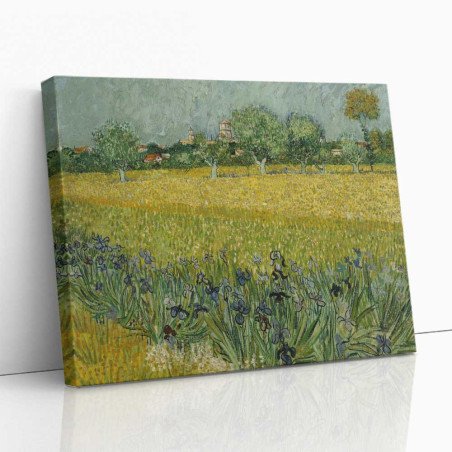 Cuadro "Campo con flores cerca de Arlés" de Vincent van Gogh