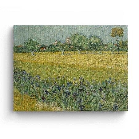 Cuadro "Campo con flores cerca de Arlés" de Vincent van Gogh