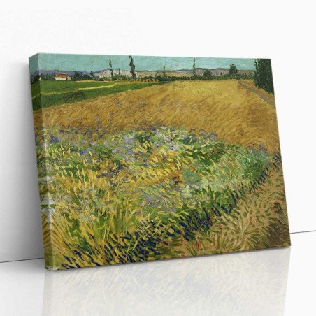 Cuadro "Campo de Trigo" de Vincent van Gogh